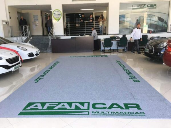 Vinil para carros